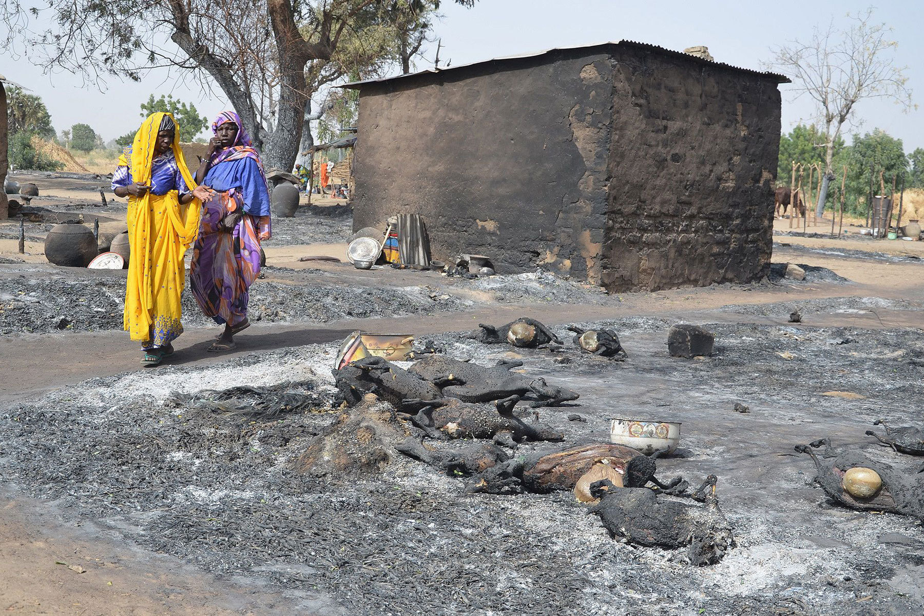 Young girls fleeing Boko Haram walk past livestock burned by the militants on Feb. 6 in Mairi village, near Maiduguri. (AFP/Getty Images)