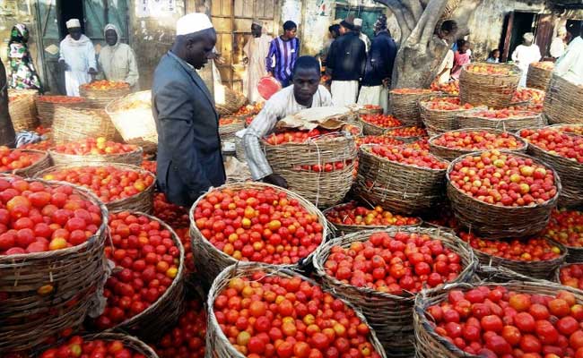 nigeria-tomatoes-afp_650x400_71453020776