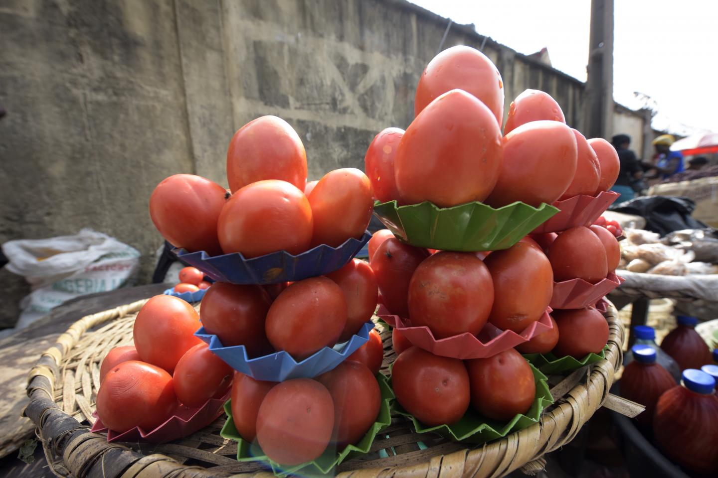 Tomatoes are displayed for sale in Lagos, Nigeria, May 25, 2015. A tomato shortage caused by a pest has seen prices skyrocket in Nigeria, but a solution may be at hand. 